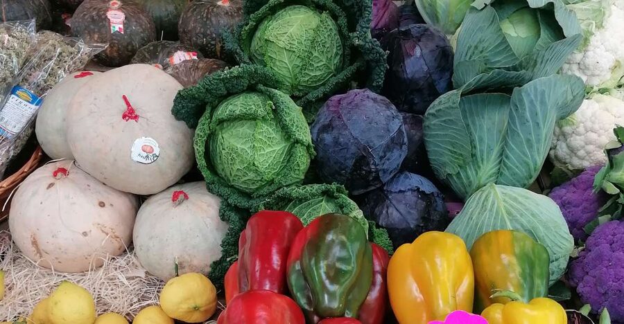 Rome: Guided Testaccio Market Food Tour with Tastings - Exploring the colorful Testaccio Market