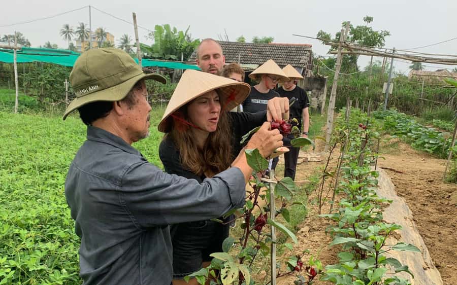 Rural Cycle, Market Tour, Basket Boat & Organic Farm Cooking - A Hoi An market stop with a fruity surprise