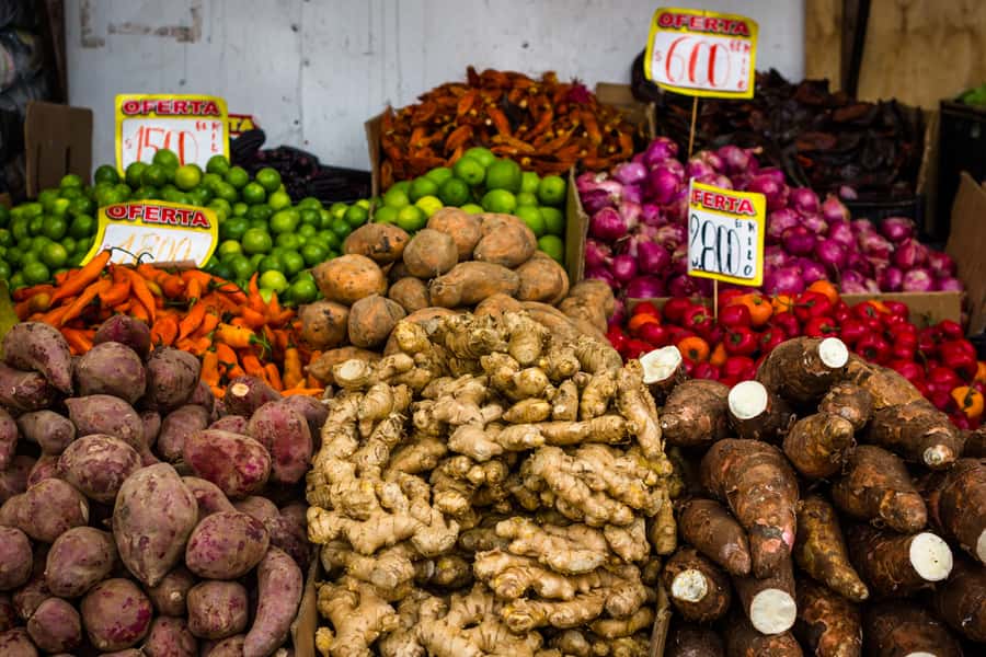 Santiago: Markets Bike Tour - Starting in Bellavista near Plaza Mori