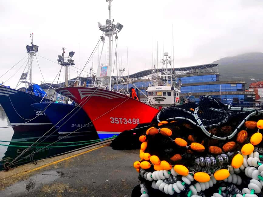 Santoña: Anchovy Art Gallery with Fishing Port and Market - Key points to know before you go