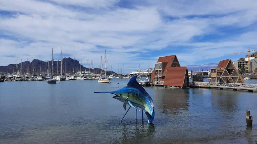 São Vicente: Markets, Beaches and Natural Park Tour - Why this four-hour route works