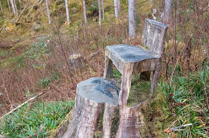 Self-Guided Hike from Bergen's Fish Market up Mount Fløyen - The mountain slide and Norway’s biggest tree