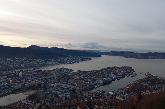 Self-Guided Hike from Bergen's Fish Market up Mount Fløyen - Goats, mountain life, and the view from Fløyen Panorama