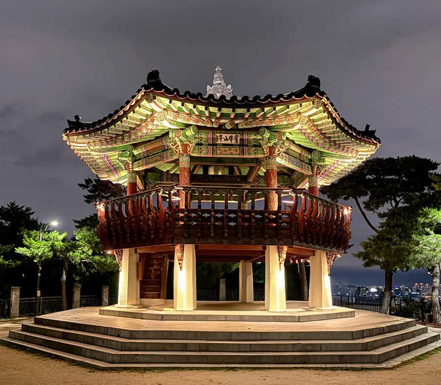 Seoul Evening Tour:Gwangjang Market&Naksan Park&Eungbongsan - Who should book this evening