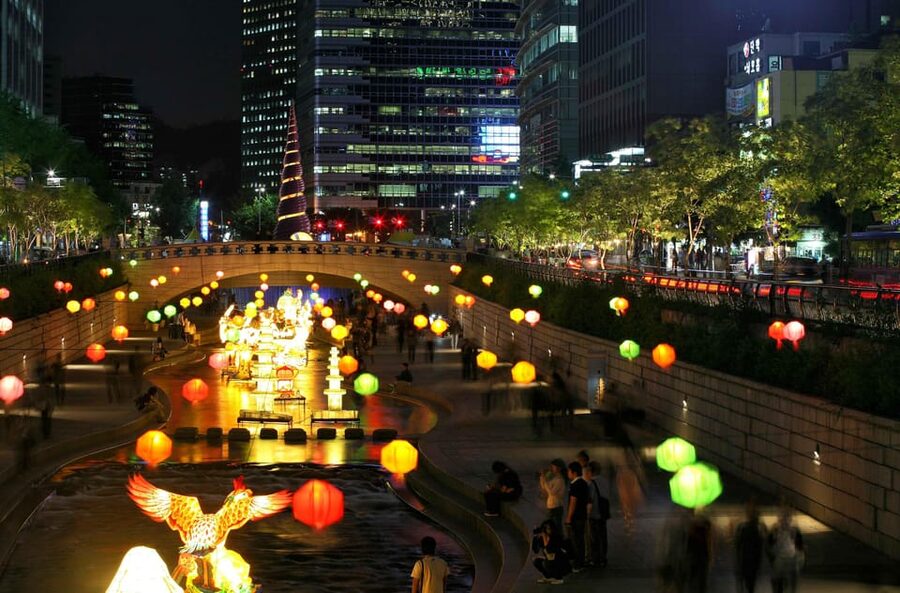 Seoul Gwangjang Market Foody Walking Tour - Should you book the Gwangjang Market food tour?