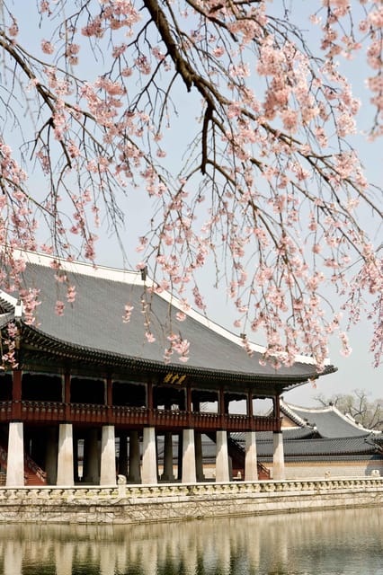 Seoul: Gyeongbokgung Palace Tour & Lunch at Authentic Market - Palace Stories and Market Choices in One Half-Day