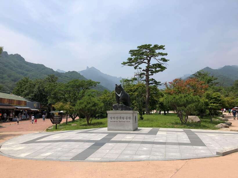 Seoul: Mt.Seorak(+CableCar Option)+Sokcho Fish Market&Beach - Key points to know before booking