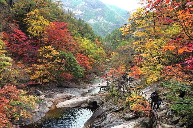 Seoul: Mt.Seorak(+CableCar Option)+Sokcho Fish Market&Beach - Who should book this Seoraksan and Sokcho tour