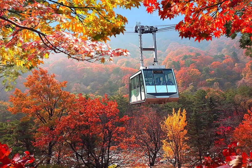 Seoul: Mt.Seorak(+CableCar Option)+Sokcho Fish Market&Beach - The optional Seoraksan cable car