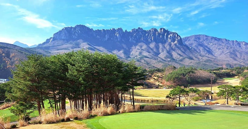 Seoul: Mt.Seorak(+CableCar Option)+Sokcho Fish Market&Beach - Thirty minutes at Sokcho Beach