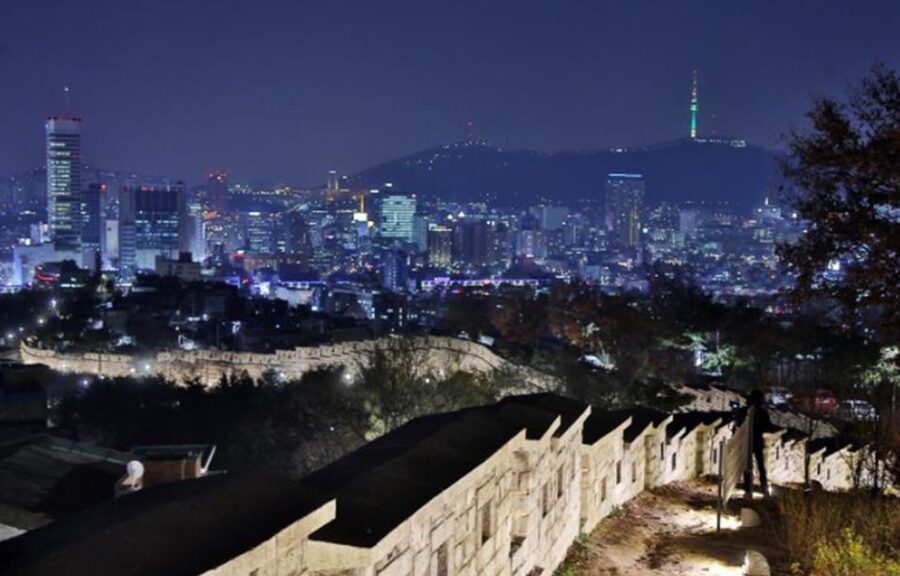 Seoul: Nighttime Tour of Palace, Market, Naksan Park & More - Practical details that affect your evening