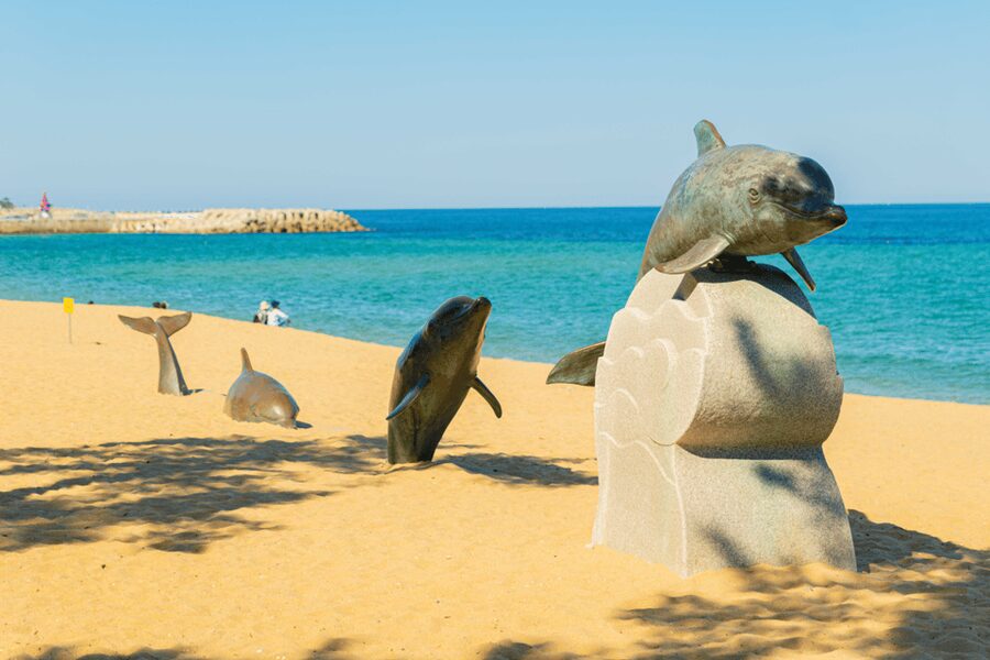 Seoul: Sokcho beach, market, hot spring and Seorak Cable Car - Who should book this experience?