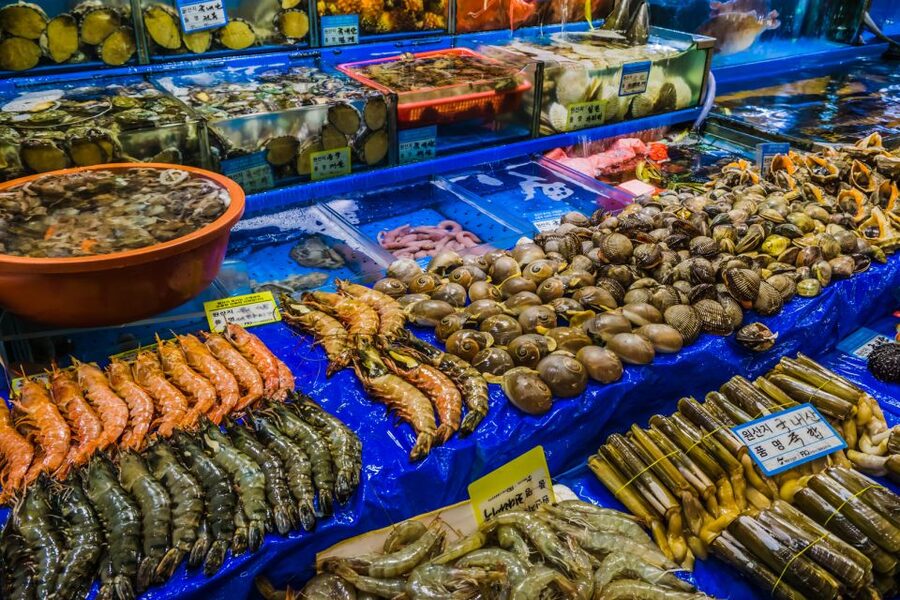Seoul: The Biggest Sea-food Noryangjin Market Tour - Key points to know before you book