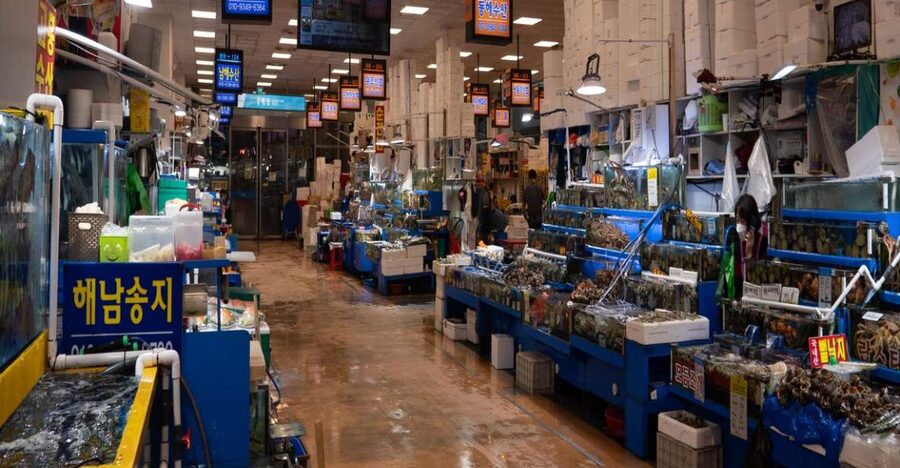 Seoul: The Biggest Sea-food Noryangjin Market Tour - What the $110 price really covers