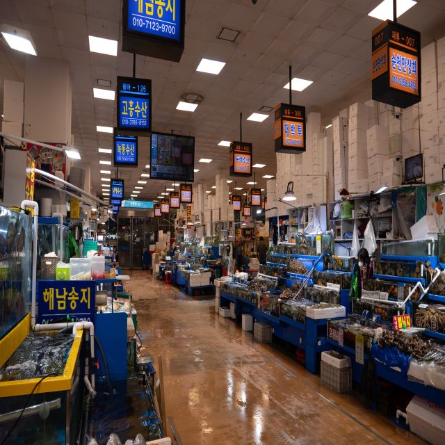 Seoul: The Biggest Sea-food Noryangjin Market Tour - Should you book the Noryangjin market tour?