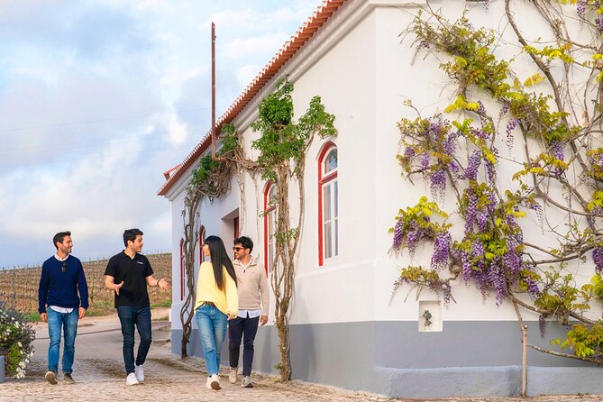 Setúbal: Winery & Fish Market Tasting Tour from Lisbon - Mercado do Livramento: Setúbal’s food stop