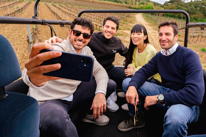 Setúbal: Winery & Fish Market Tasting Tour from Lisbon - Who will enjoy this Setúbal day trip?