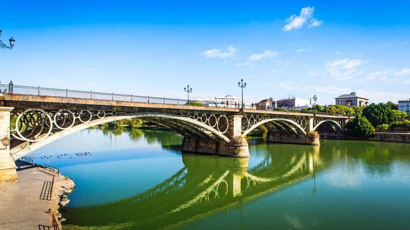 Seville: Tasting, History, Market visit and Tapas Tour - Comparing olive oils in a local shop