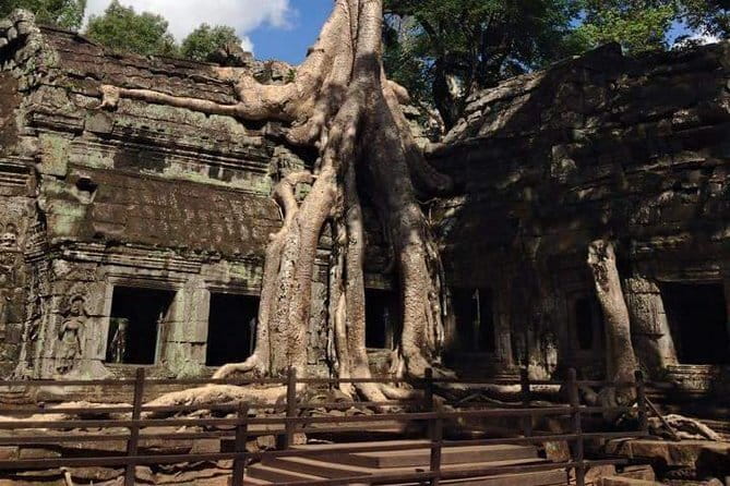Siem Reap Morning Market & Food Tour by Tuk Tuk - Local coffee at The Bean Embassy Roastery
