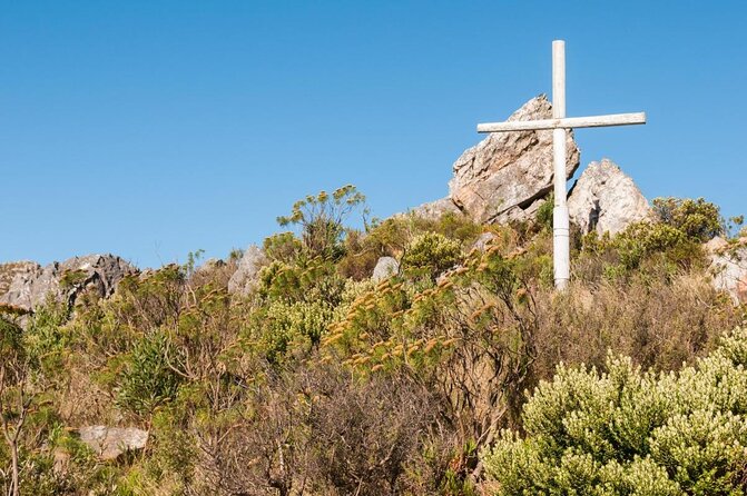 Steam Train to Elgin Railway Market - A full day out of Cape Town by rail