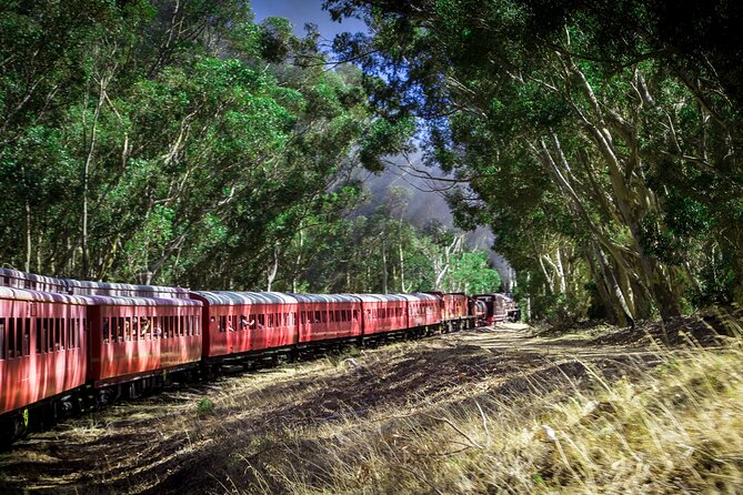 Steam Train to Elgin Railway Market - Practical tips for a smoother departure
