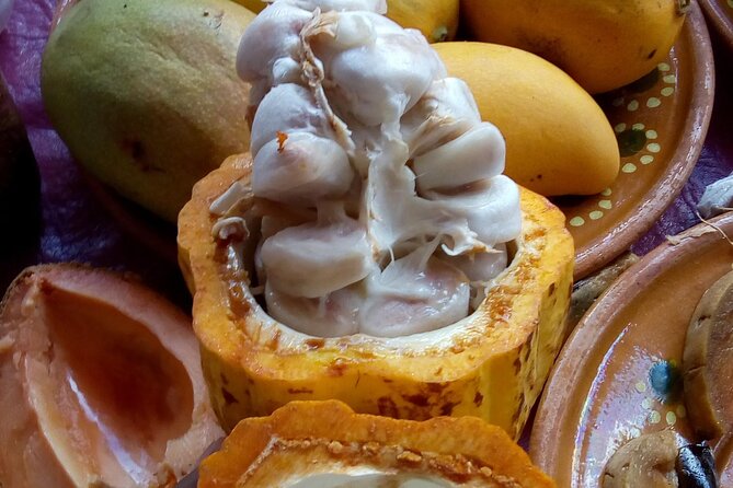 Steps Full of Flavor, Cancun Foodie & Market Tour - Downtown Cancún, where the food walk begins