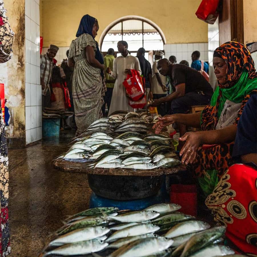 Stone Town Guided Tour: Culture, Slave Market & Spice Market - Forodhani Gardens and the best time to go