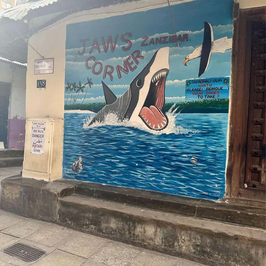 Stone Town Guided Tour: Culture, Slave Market & Spice Market - Starting at the House of Wonders