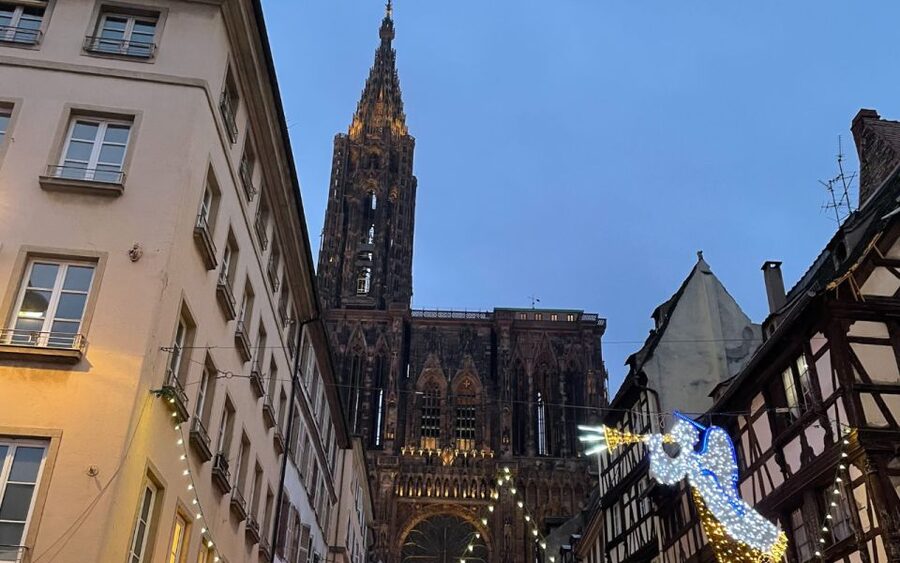 Strasbourg: Christmas Markets Walking Tour with Mulled Wine - Price, flexibility, and overall value