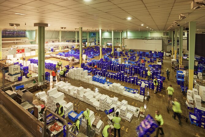 Sydney Fish Market Behind the Scenes Tour - Key points to know before you book