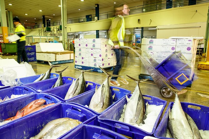 Sydney Fish Market Behind the Scenes Tour - Seeing species beyond the usual seafood display