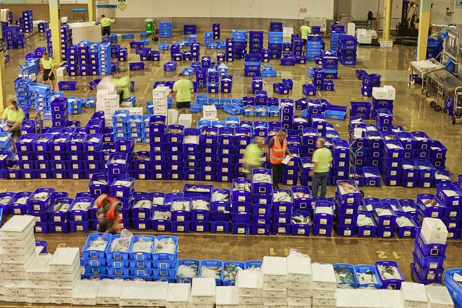Sydney Fish Market Behind the Scenes Tour - Is $57.38 per person good value?