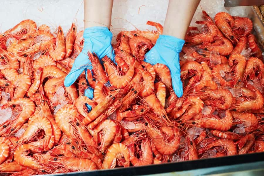 Sydney: Fish Market Food Tour - Entering Sydney’s seafood center