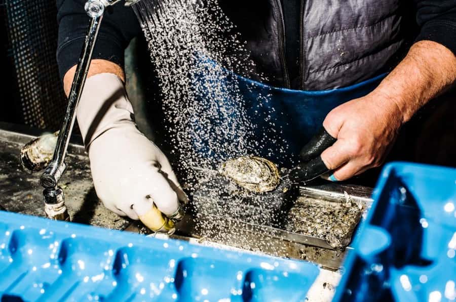 Sydney: Fish Market Food Tour - Seven tastings across the market