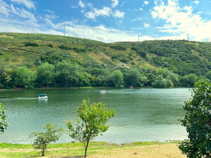 Tbilisi 2 Parks: Turtle Lake & Dedaena Park with Flea Market - Time for coffee, cafes, and local browsing