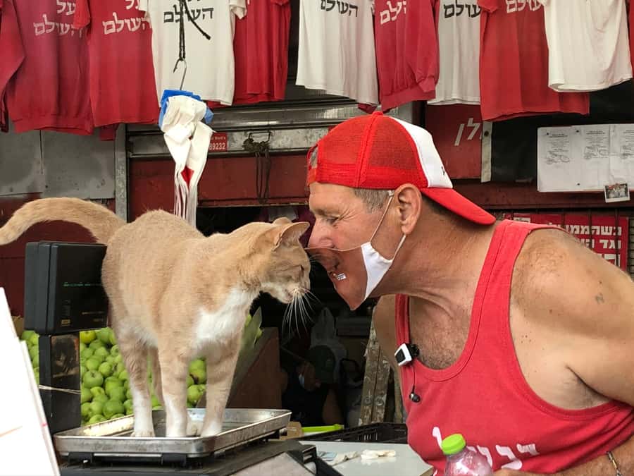 Tel Aviv: 2-Hour Carmel Market Tour in English with Lunch - Timing, cancellation, and useful planning advice