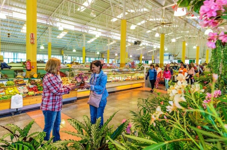 Teror and San Mateo Sunday Market - Key points to know before booking