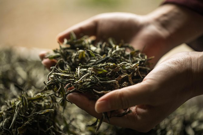 Three-Hour Private Chengdu Tea Wholesale Market Tour - Entering Chengdu’s enormous tea market