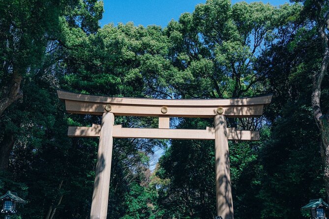 Tokyo Early Morning Tour Asakusa Meiji Shrine (Private Opt) - Why an early Tokyo start works so well