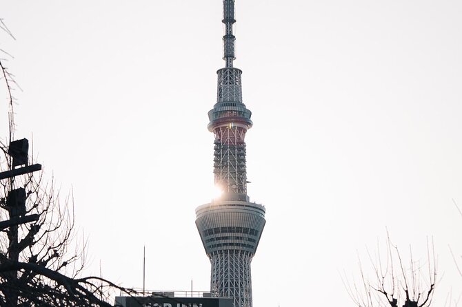 Tokyo Early Morning Tour Asakusa Meiji Shrine (Private Opt) - Finding quiet at Meiji Jingu Shrine