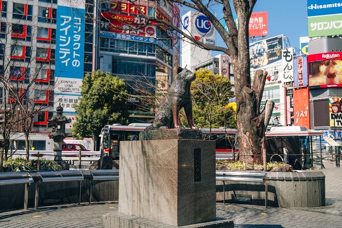 Tokyo Early Morning Tour Asakusa Meiji Shrine (Private Opt) - What the guide adds to the morning
