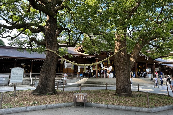 Tokyo Morning Tour: Asakusa, Meiji Shrine and Tsukiji Fish Market - Timing, transport, and practical planning