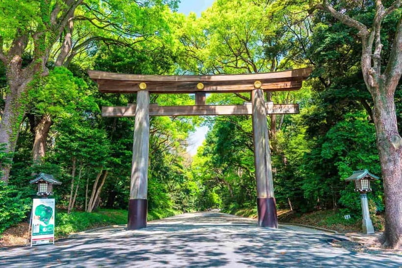 Tokyo Morning Tour: Meiji Shrine, Asakusa & Fish Market - What makes this morning useful