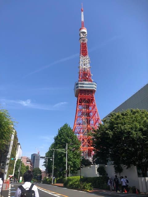 Tokyo Tours in Spanish (Tsukiji Market-Ginza-Tokyo Tower) - Five things to know before booking