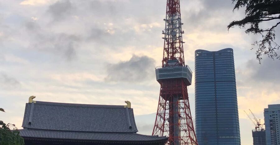 Tokyo Tours in Spanish (Tsukiji Market-Ginza-Tokyo Tower) - Booking details that affect your decision