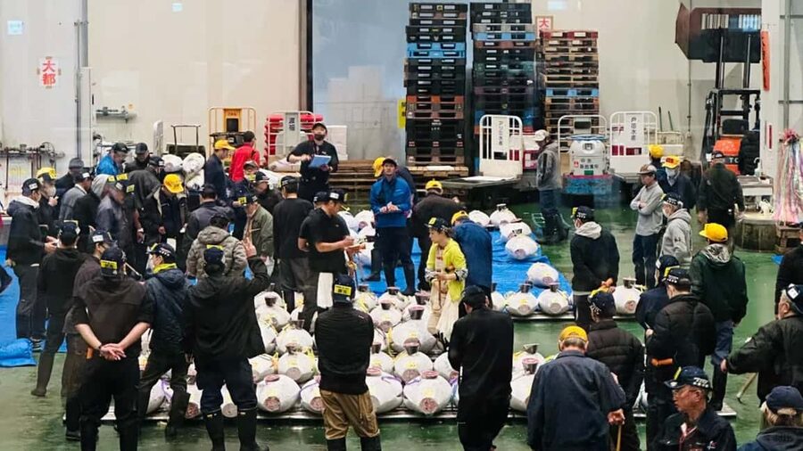 Tokyo: Toyosu Tuna Auction &Tsukiji Market Gourmet Adventure - What guides add to the experience