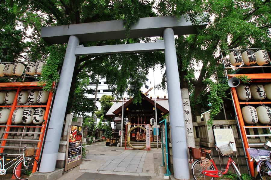 Tokyo : Tsukiji Fish Market Food Walking & Shrine Visit Tour - Guide Style and the Small Group Advantage