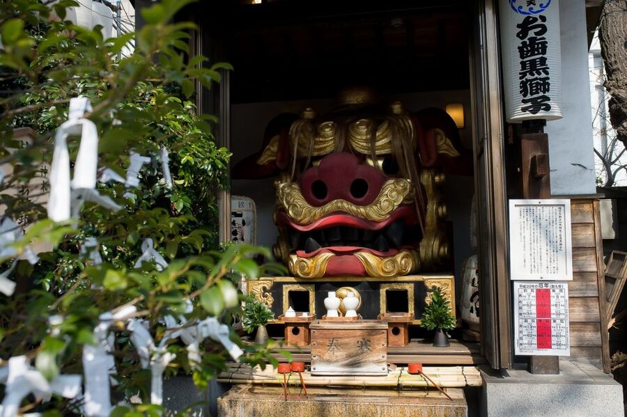 Tokyo: Tsukiji Market Walking Tour & Sushi Cooking Class - Practical advice before you go