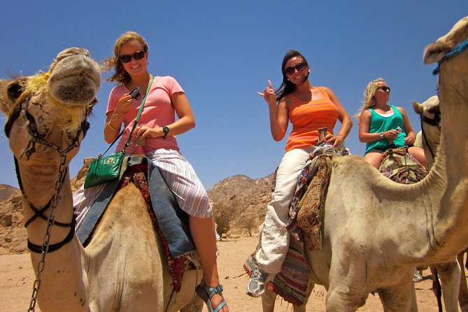 Tour to the Pyramids, Egyptian Museum and Local Bazaar from Cairo - Three hours with Egypt’s ancient objects