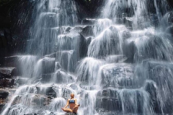 Ubud Day Tour : Waterfall, Temple and Local Night Market Tour - Who will enjoy this 10-hour Ubud outing?